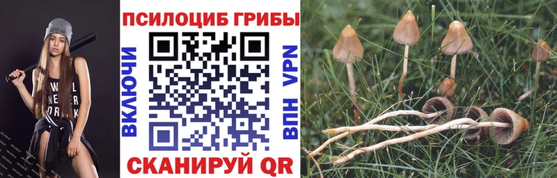 Псилоцибиновые грибы Magic Shrooms  Гулькевичи 